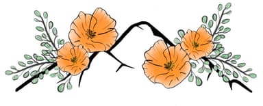 Mountain surrounded by poppy flowers